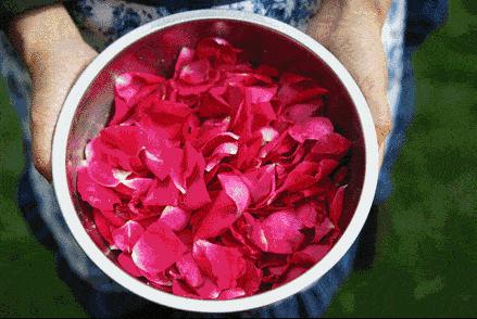 每天一杯白醋3天瘦1斤,连续一周喝蜂蜜加白醋水能瘦几斤