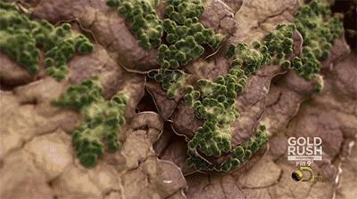 零下20度不冻脚,零下-20°不穿秋裤