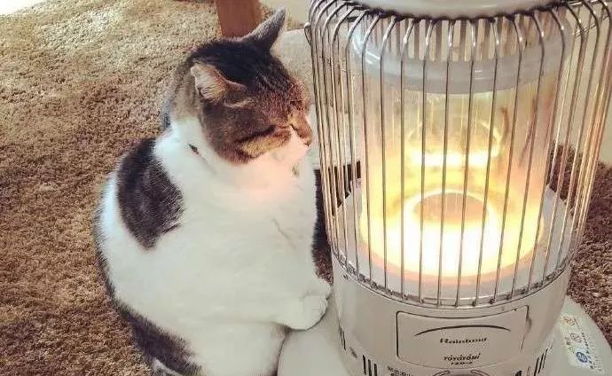 饮水机煮火锅视频,饮水机煮火锅能煮熟吗