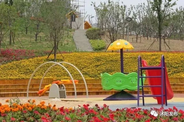 宿迁沭阳：这份“绿色福利”你值得拥有~