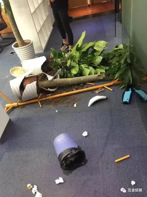 点融郭宇航政协,点融创始人郭宇航现状