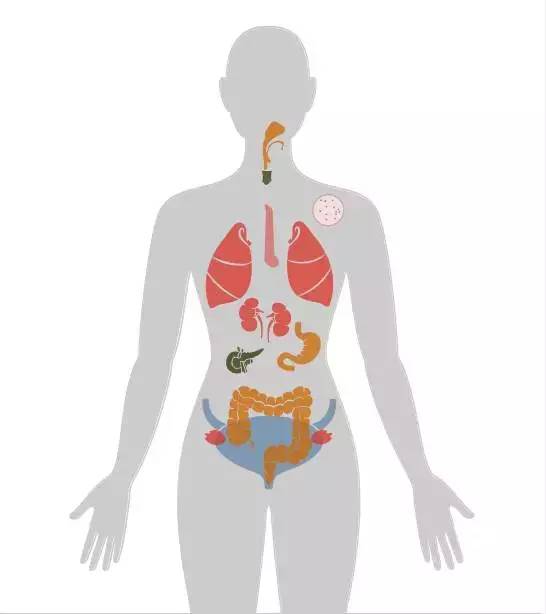 20个癌症的真实案例,13种癌症最新研究报告