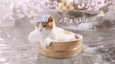 99元可以泡22家温泉,温泉票特惠福利来袭