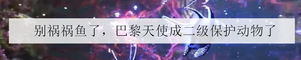 被海葵蜇了排毒要多久,戴着手套会被海葵蜇到吗