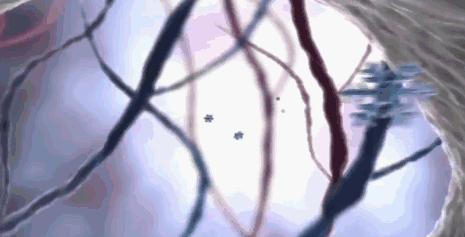 十大美白牙齿牙膏,美白去渍牙膏澳洲