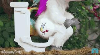 中国式蹲坑席卷温哥华！我们蹲个厕所，怎么就被蹲成了上亿的生意？