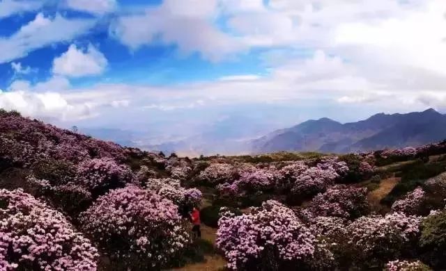 魅力会理｜四川最南边的古城，看会理前世今生！