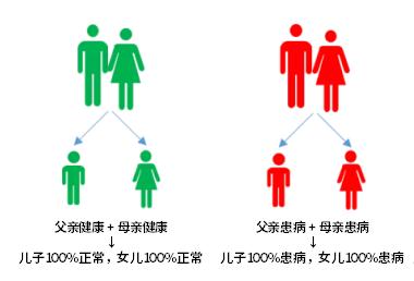 什么血液病不能吃蚕豆,血液病吃蚕豆