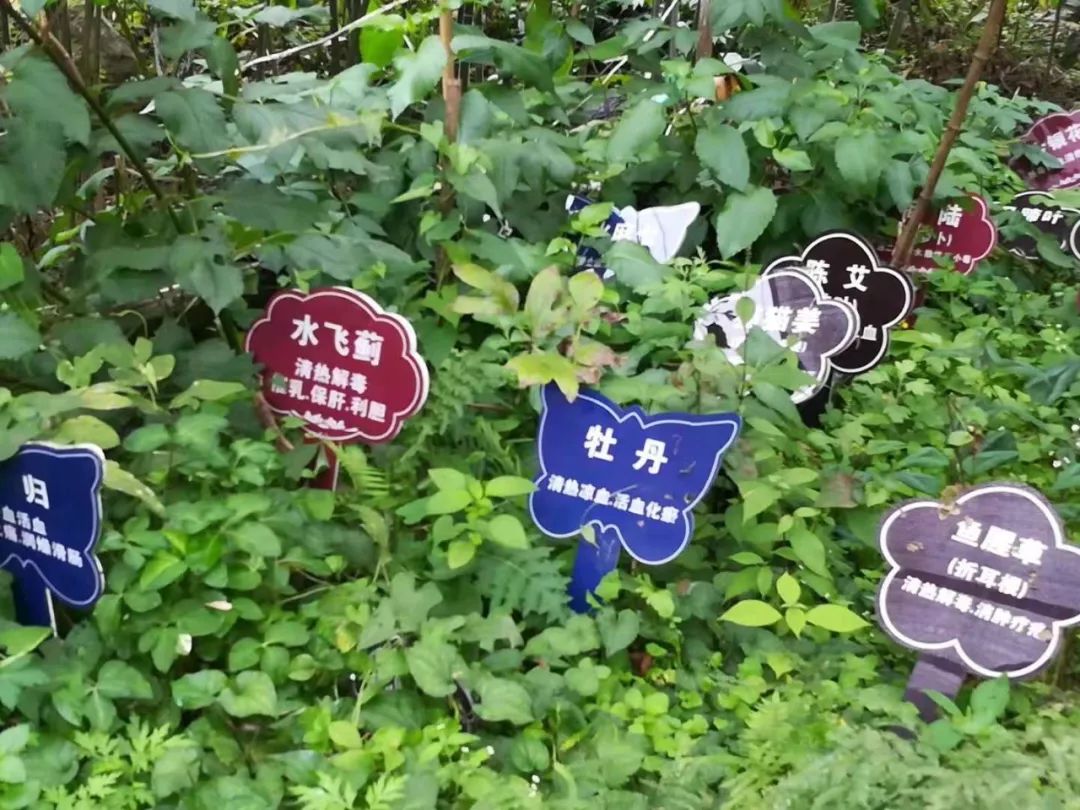 改革开放40年医疗条件,改革开放中医