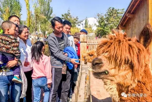 惊艳时光的内蒙古,内蒙古精彩