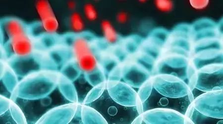 戳进来｜“秃”如其来，除了绝望你还能怎么办？