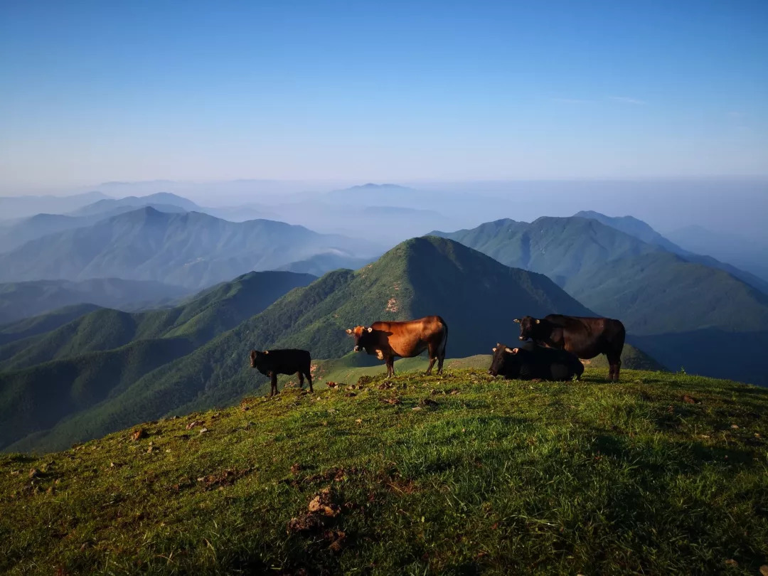 跟我走吧带你去旅行合拍,跟我走吧我带你去旅游完整版