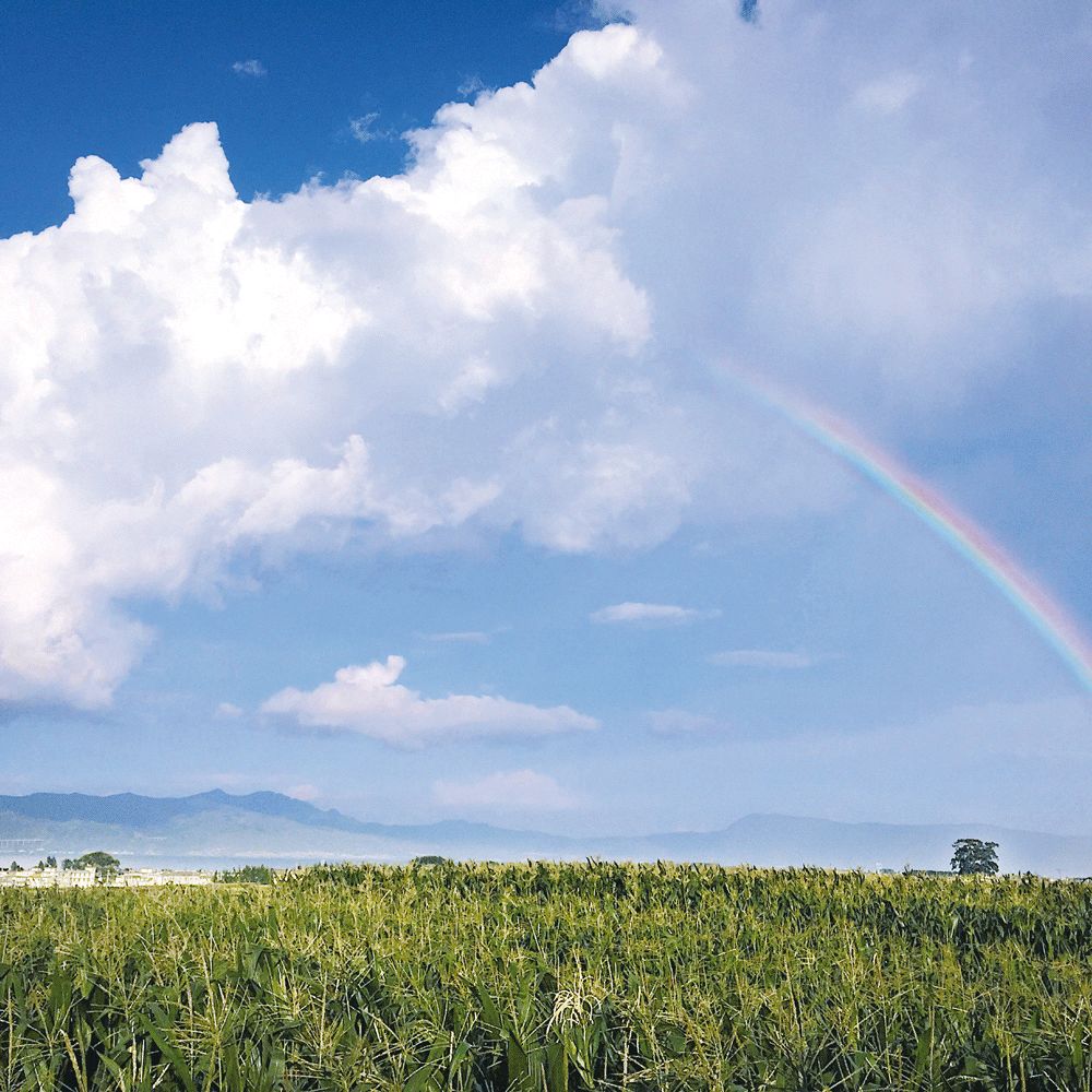 这个年轻人不上班不买房，在大理种地7年，生活过成了这样……