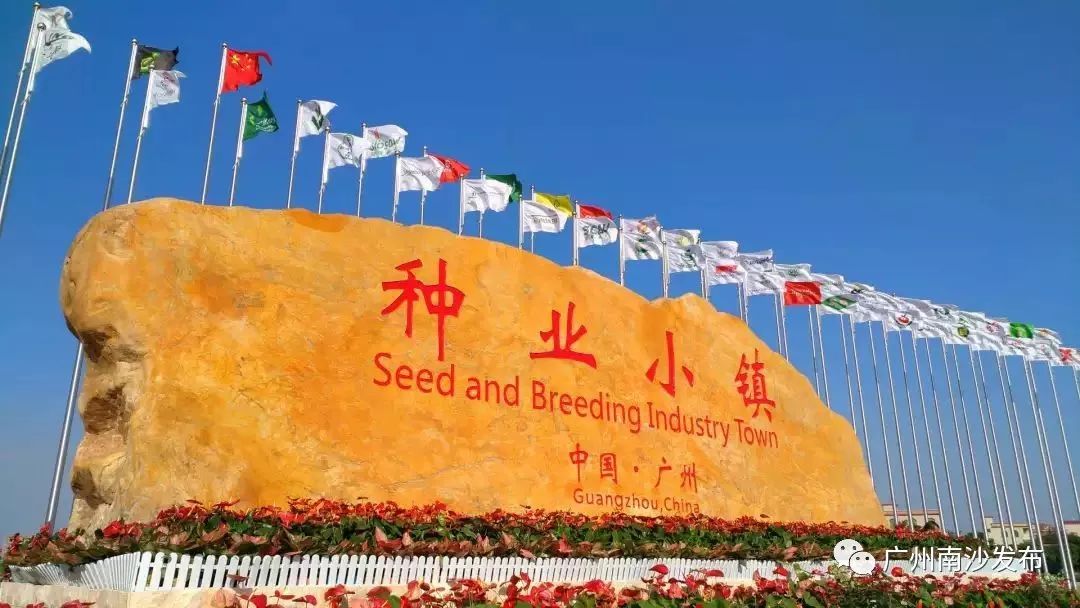 涓ぇ鍗氬＋鍏婚奔,涓ぇ鍗氬＋