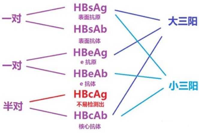 大三阳和小三阳比谁严重,大三阳比小三阳厉害吗