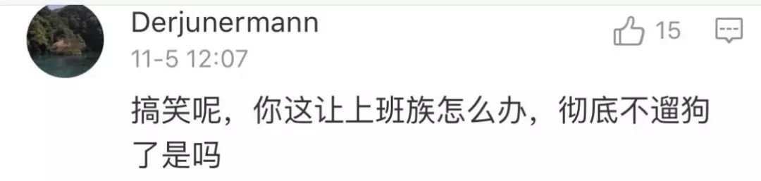 史上最严养狗令：早7点到晚22点禁止遛狗！网友吵翻了……