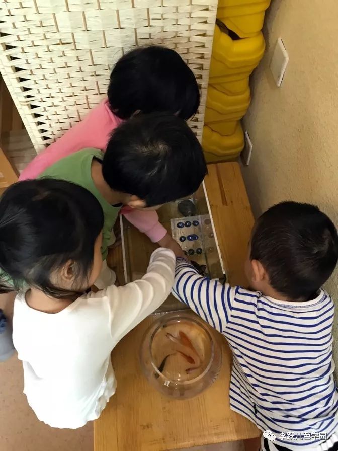 去幼儿园培训让我学到了什么,去幼儿园体验一天老师