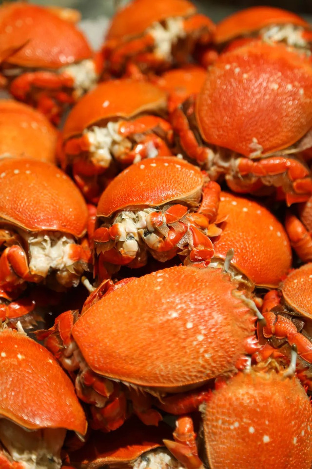 福利‖带上你的plus胃，郑州这家海鲜自助餐厅鲍鱼螃蟹吃到醉！