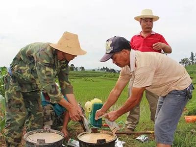 井水配药，药效减半?打农药7*禁大**忌，9成农民都在浪费药！