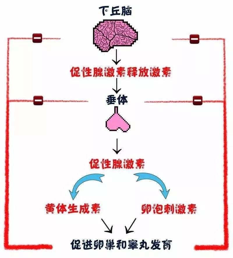 小孩被医生按住强制治疗,孩子被医生按住强制治疗