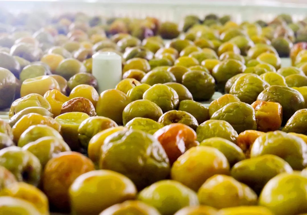 拼团丨出口日本20多年,这个“青梅大王”做的梅子,就是好吃!