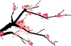 养生佳品你选对了吗,养生你还不重视吗