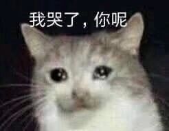 双飞人活络油真假辨别,警惕各类神药骗局