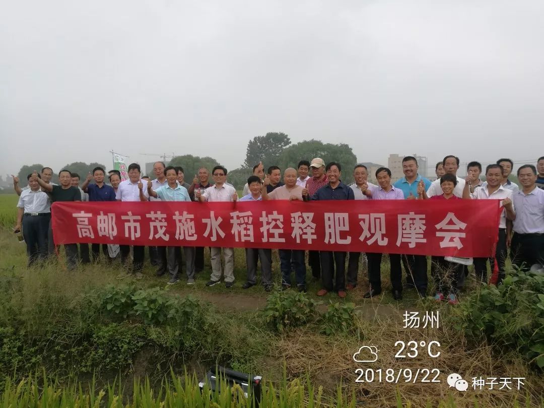 水稻种植用肥,粳稻施什么肥好