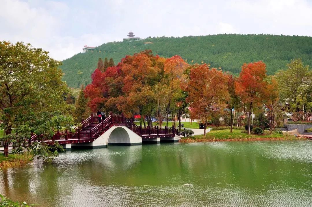 徐州秋景哪个地方最好看,徐州周边赏秋景的地方