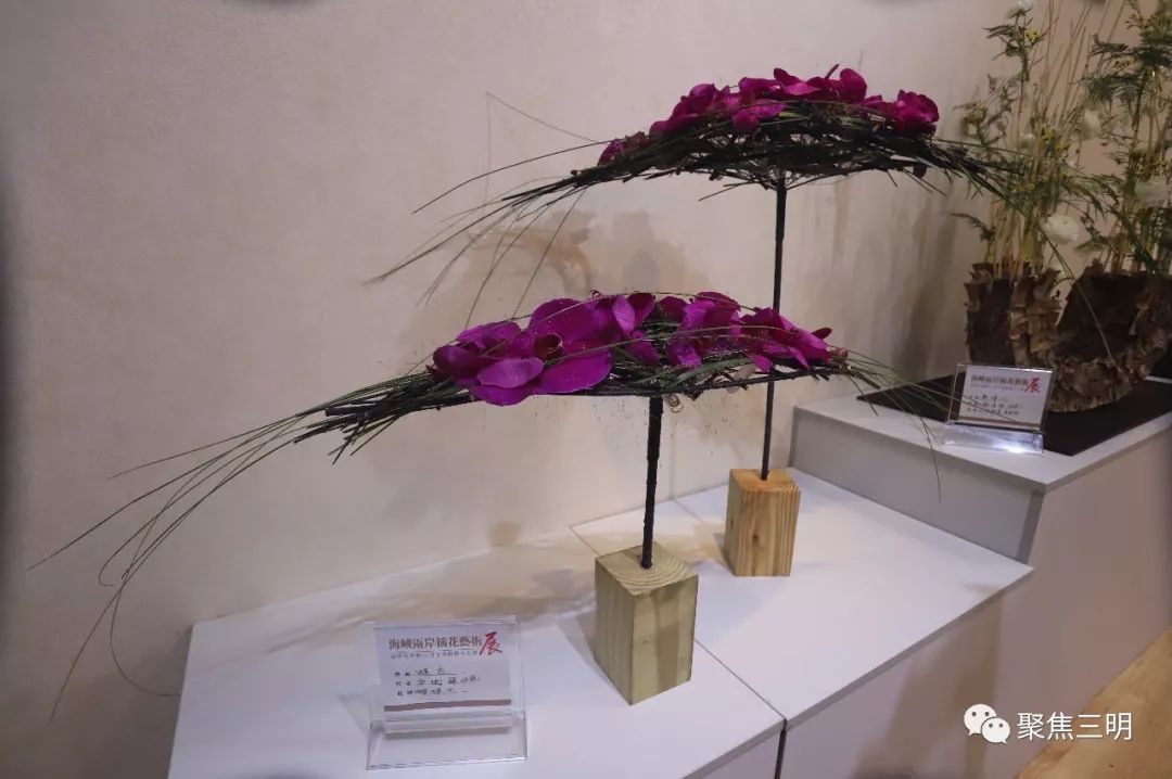 林博会上插花艺术家现场教你插花，还有50多件花艺大师作品亮相！