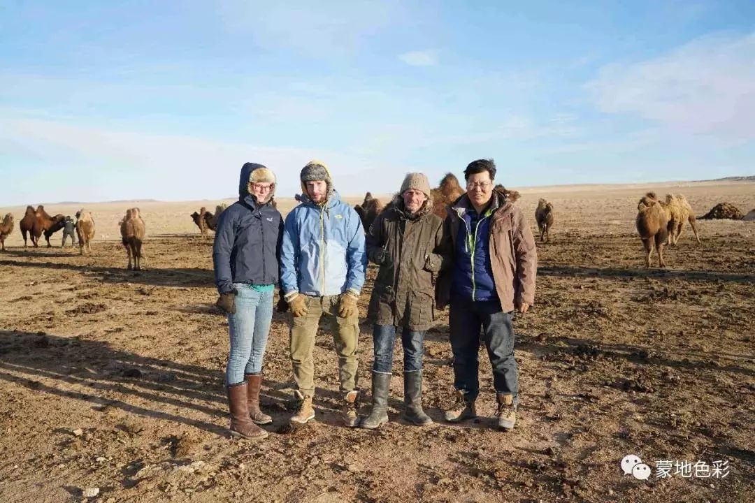骆驼研究专家吉日木图
