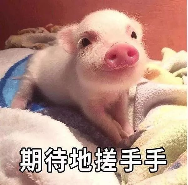 这样东西对孩子太重要了！建议家长们都看看