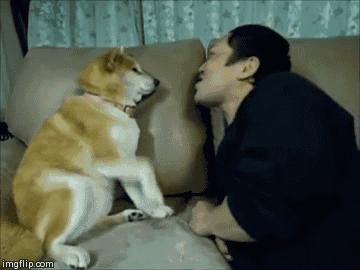 记住我翻译成英文,sorrymyenglishispoor