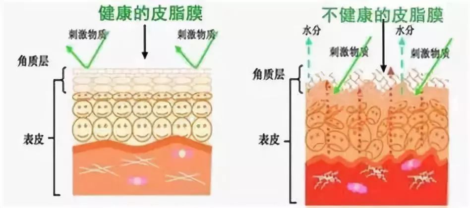 去黑头去角质慕斯,3分钟祛除黑头
