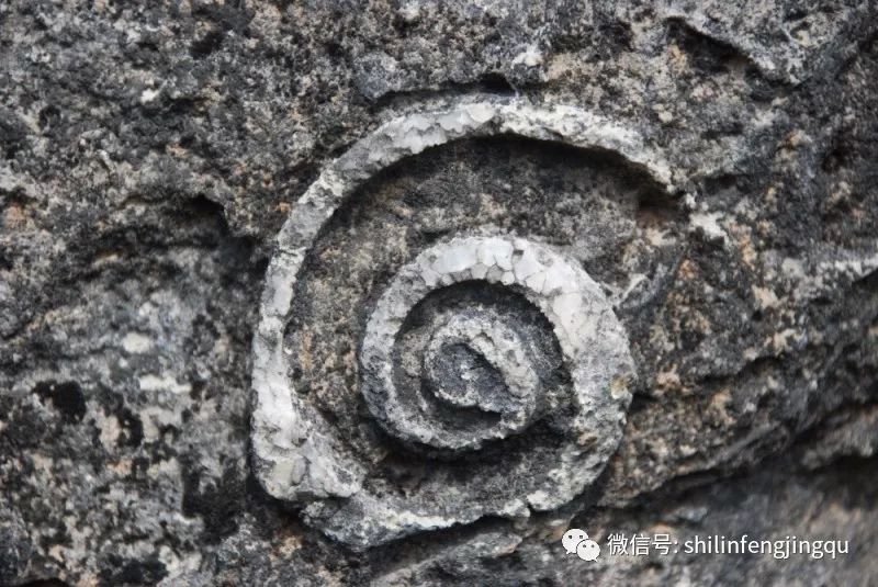 石林是喀斯特地貌的精华吗,云南石林喀斯特地貌特征