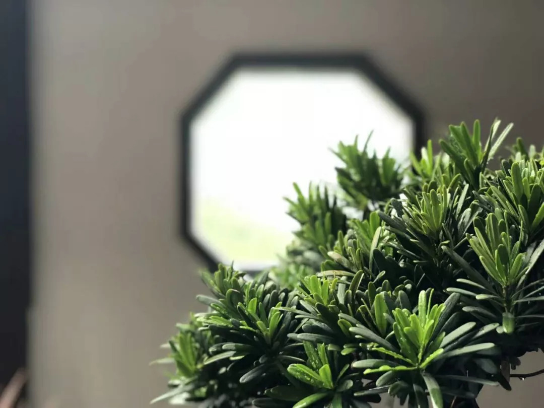 关于家教的中堂对联,最好的家教都写在这25副对联里