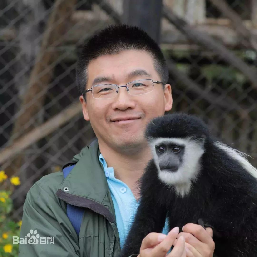 宠物土拨鼠有没有狂犬病,老鼠会传染给宠物狂犬病吗