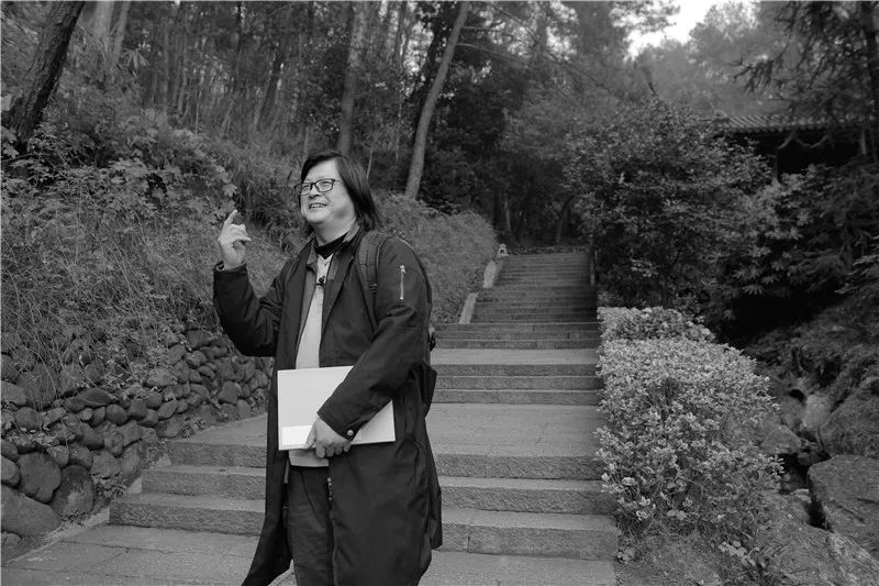 新安书画展,新安县画展