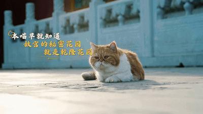 2018年即将接近尾声你有遗憾吗,2018年即将结束写个总结吧