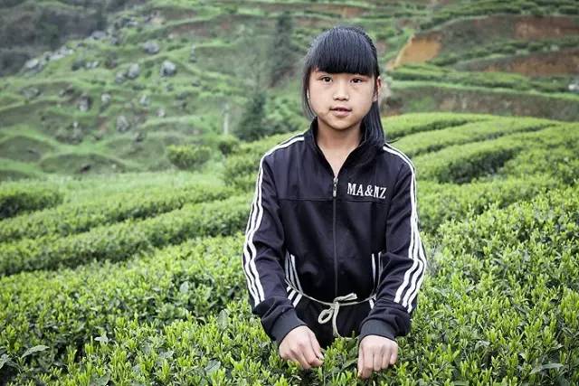 世界这么大我一直在路上,世界这么大我想自己去看看