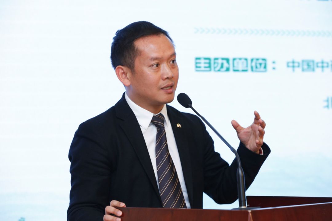 三七治疗慢性病怎么样,三七药材的真伪鉴别