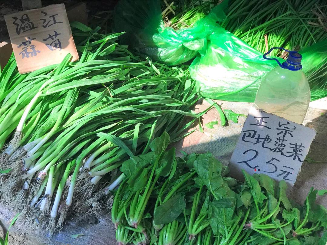 菜市场男孩,菜市场男童