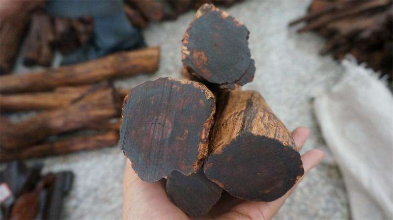 降真香分为几种香气,降真香的别名