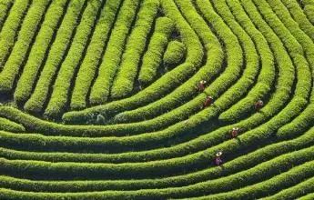 福建三明返乡人员最新政策,三明市人才返乡政策