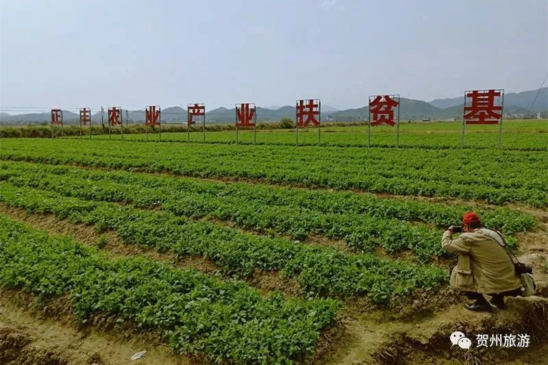 贺州的旅游景点大全,贺州旅游景点推荐