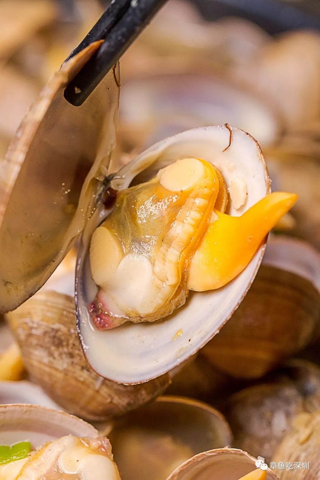 火锅界的黑马入侵东北大汉局，5.8折一个都跑不了