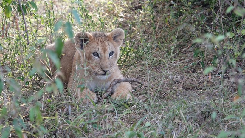 行囊装满的是人生,自己的行囊里装满了酸甜苦辣