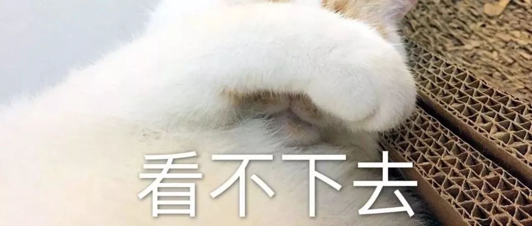 萌爪神吐槽馆,说你想说的