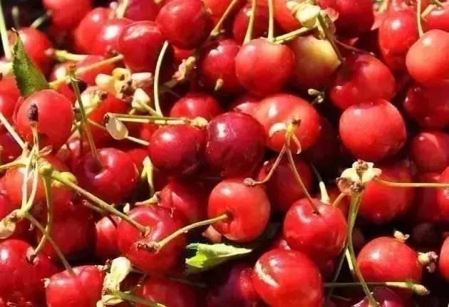 「提醒」很多福建人被这8个*局骗**泄露了个人信息,却不知道……