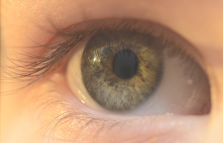 隐形眼镜怎么挑选技巧视频,隐形眼镜怎么挑选